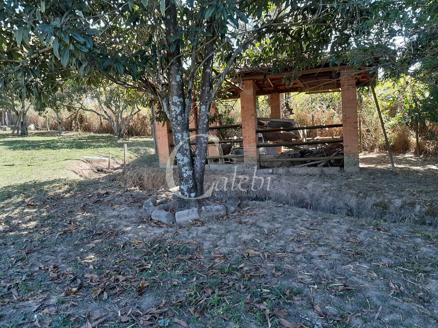 Sítio, 4 quartos, 2 m² - Foto 13