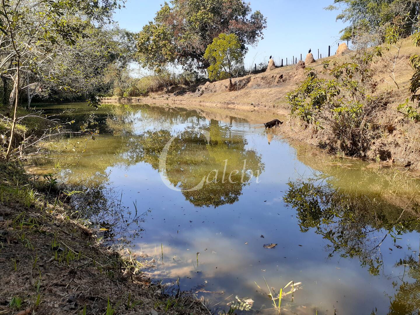 Sítio, 4 quartos, 2 m² - Foto 20