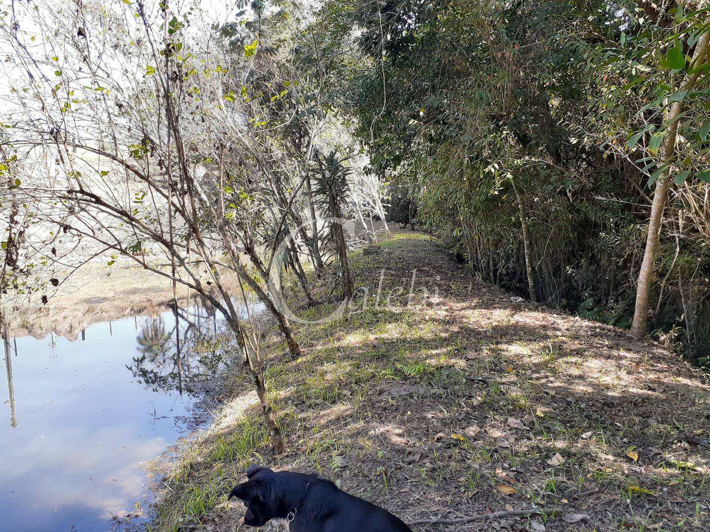 Sítio, 4 quartos, 2 m² - Foto 21