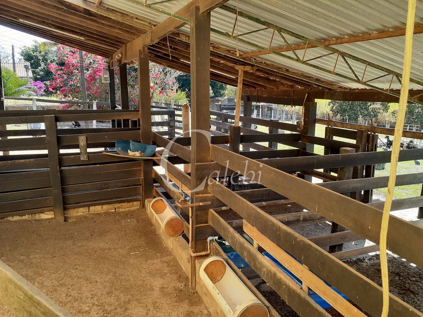 Sítio, 4 quartos, 2 m² - Foto 32