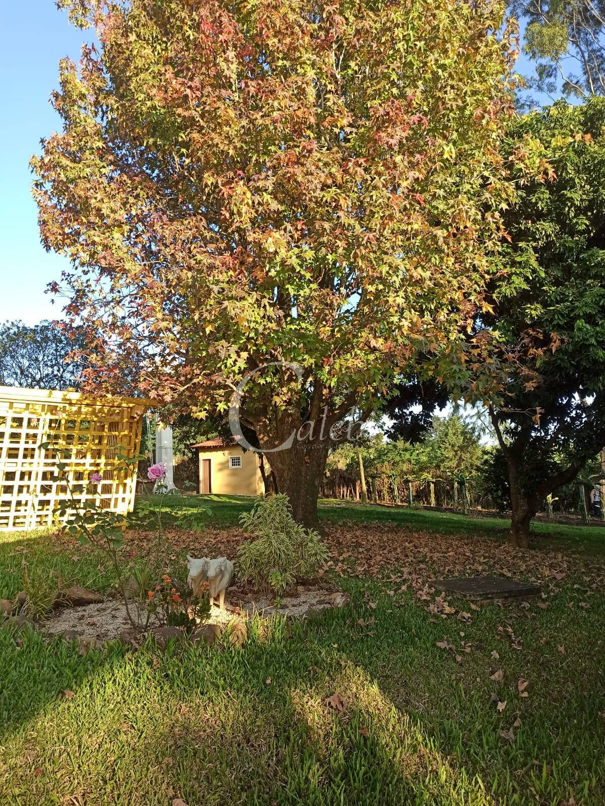 Chácara, 1 hectares - Foto 86