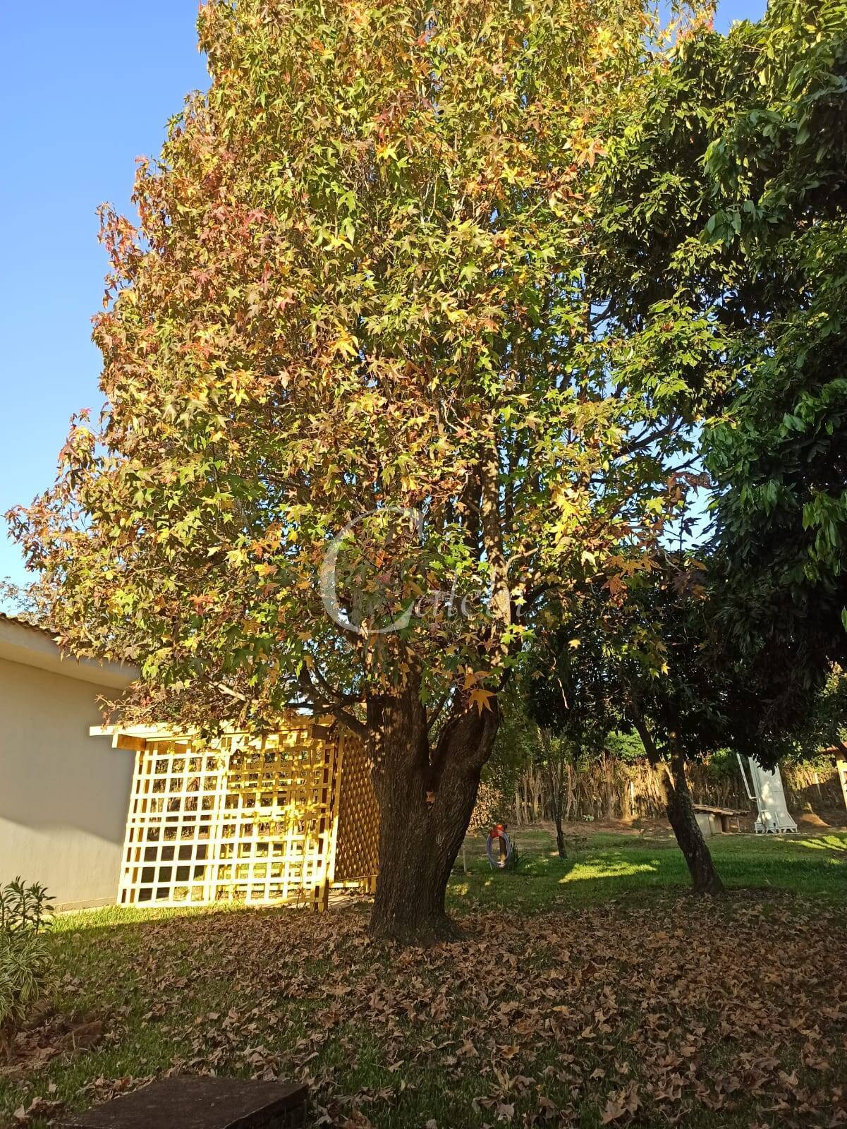 Chácara, 1 hectares - Foto 89