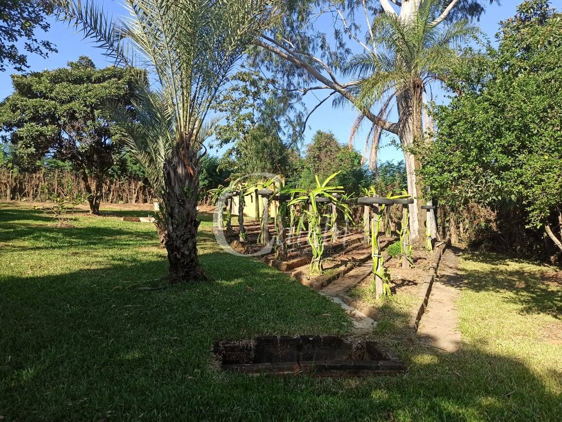 Chácara, 1 hectares - Foto 23
