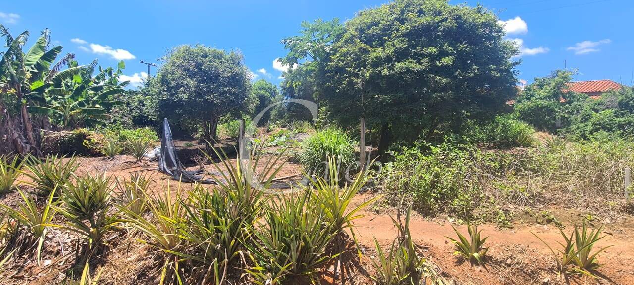 Terreno, 3 m² - Foto 6