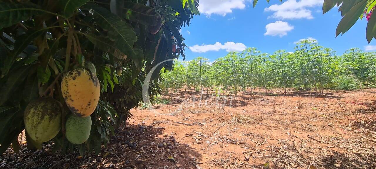 Terreno, 3 m² - Foto 17