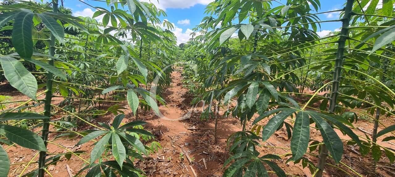 Terreno, 3 m² - Foto 19