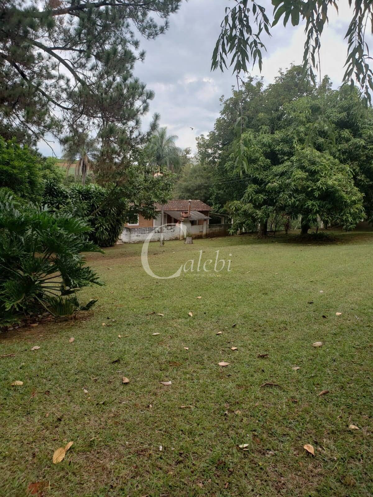 Sítio, 2 quartos, 4538 m² - Foto 1