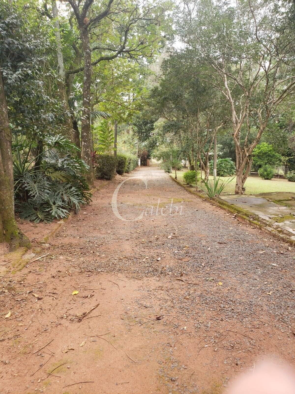 Sítio, 2 quartos, 4538 m² - Foto 5