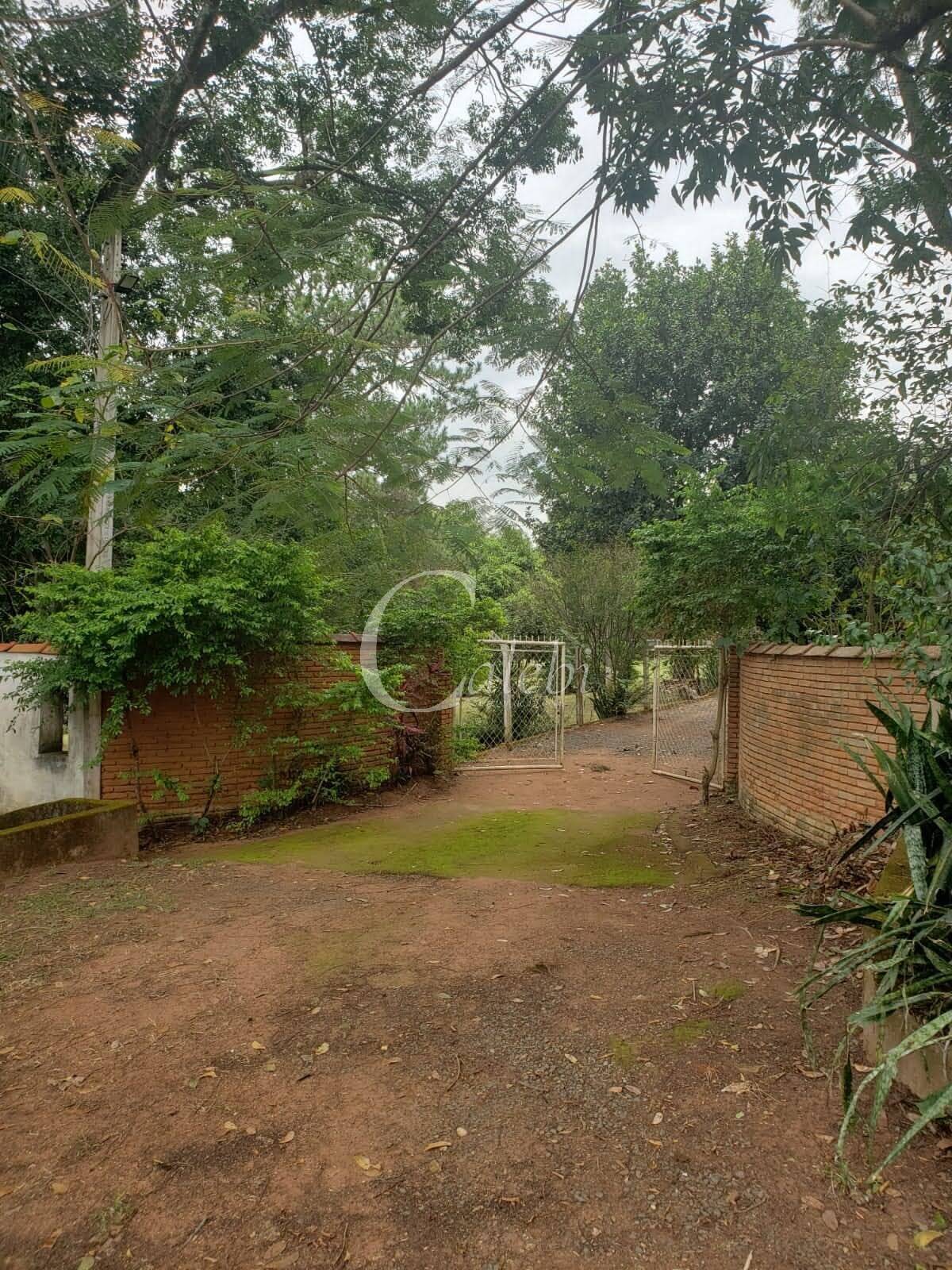 Sítio, 2 quartos, 4538 m² - Foto 7