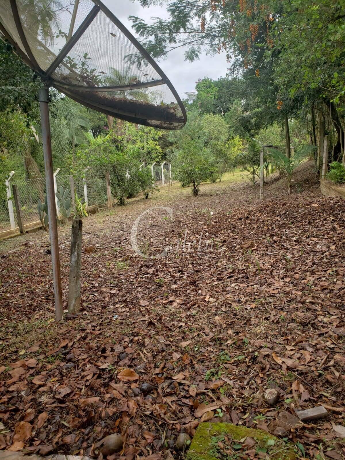 Sítio, 2 quartos, 4538 m² - Foto 8