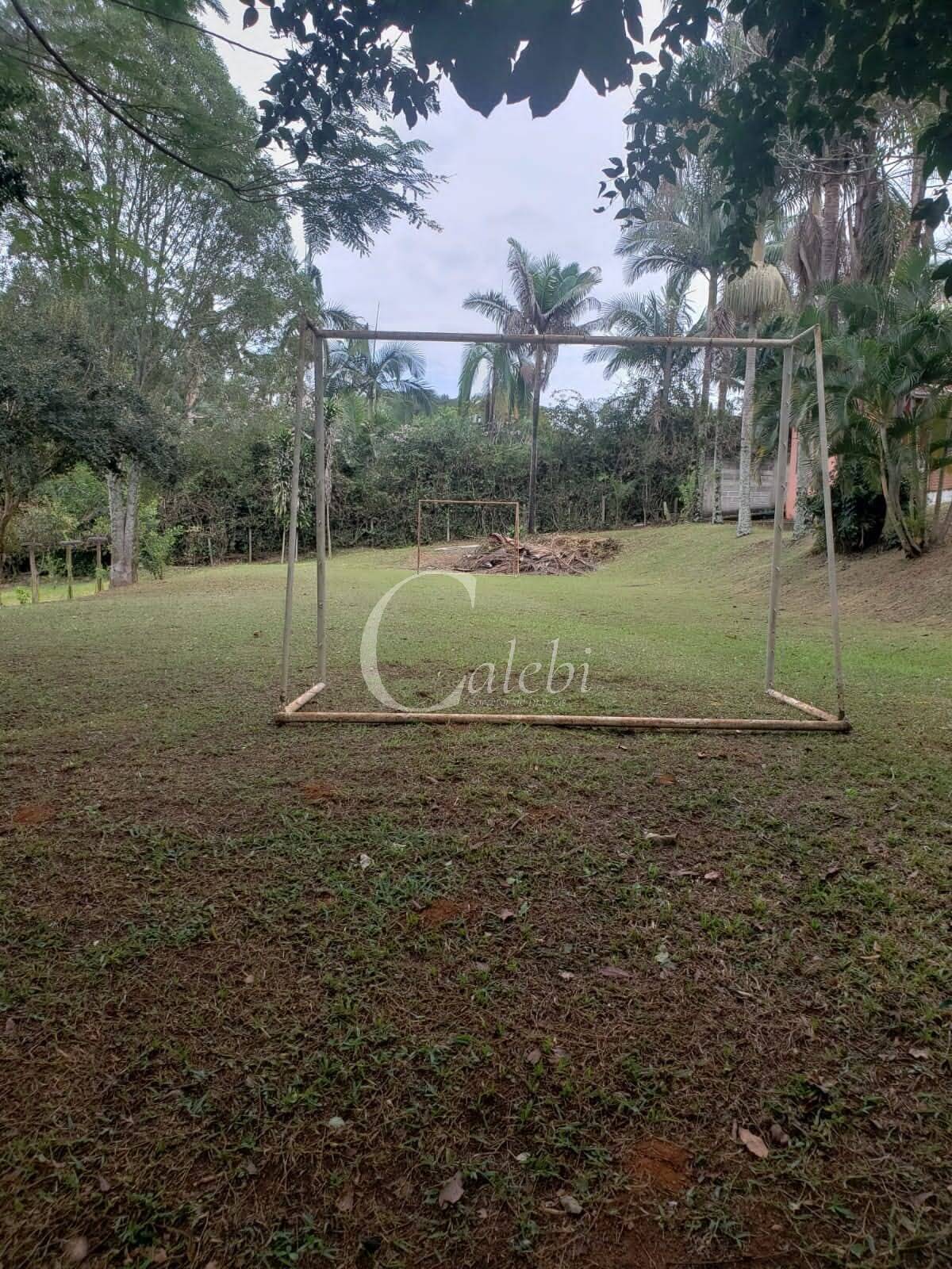 Sítio, 2 quartos, 4538 m² - Foto 9