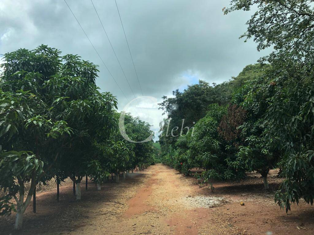 Terreno à venda, 7m² - Foto 8
