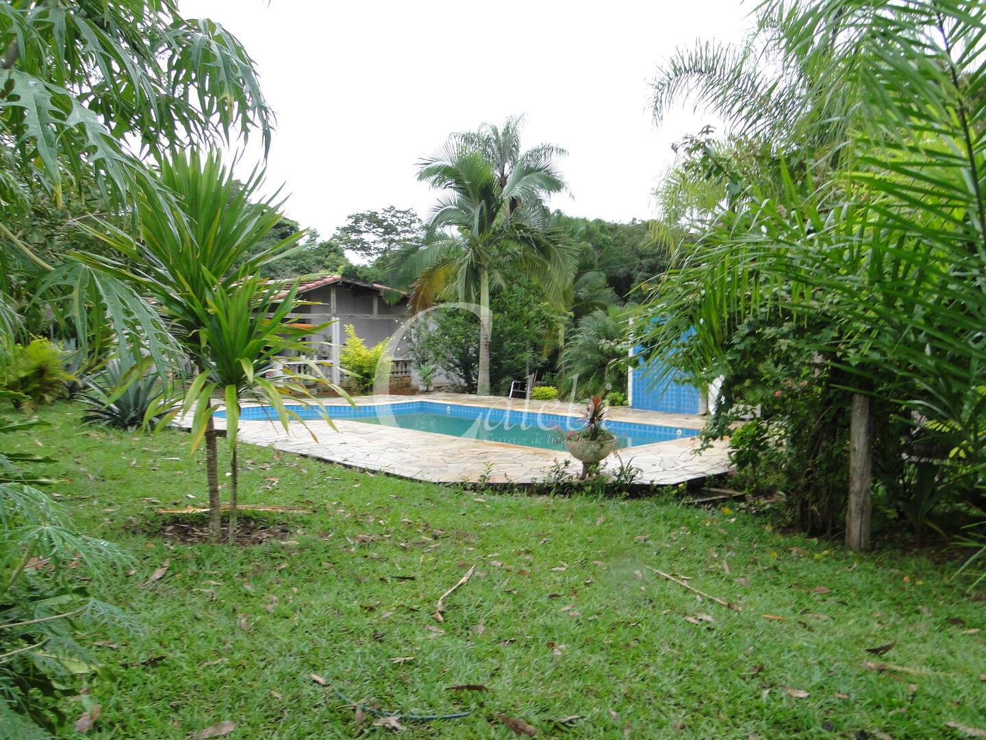 Sítio, 3 quartos, 4 m² - Foto 2