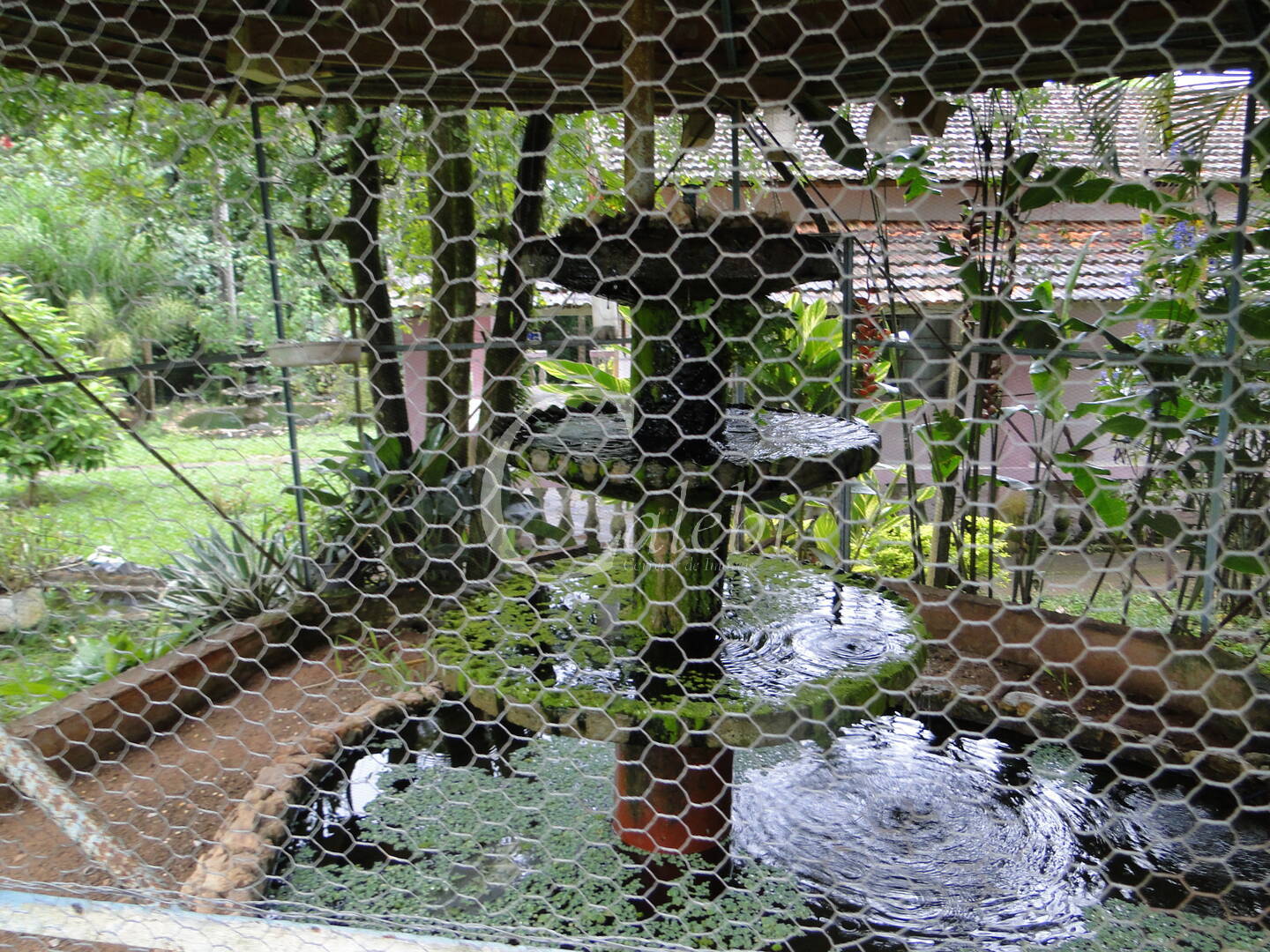 Sítio, 3 quartos, 4 m² - Foto 8