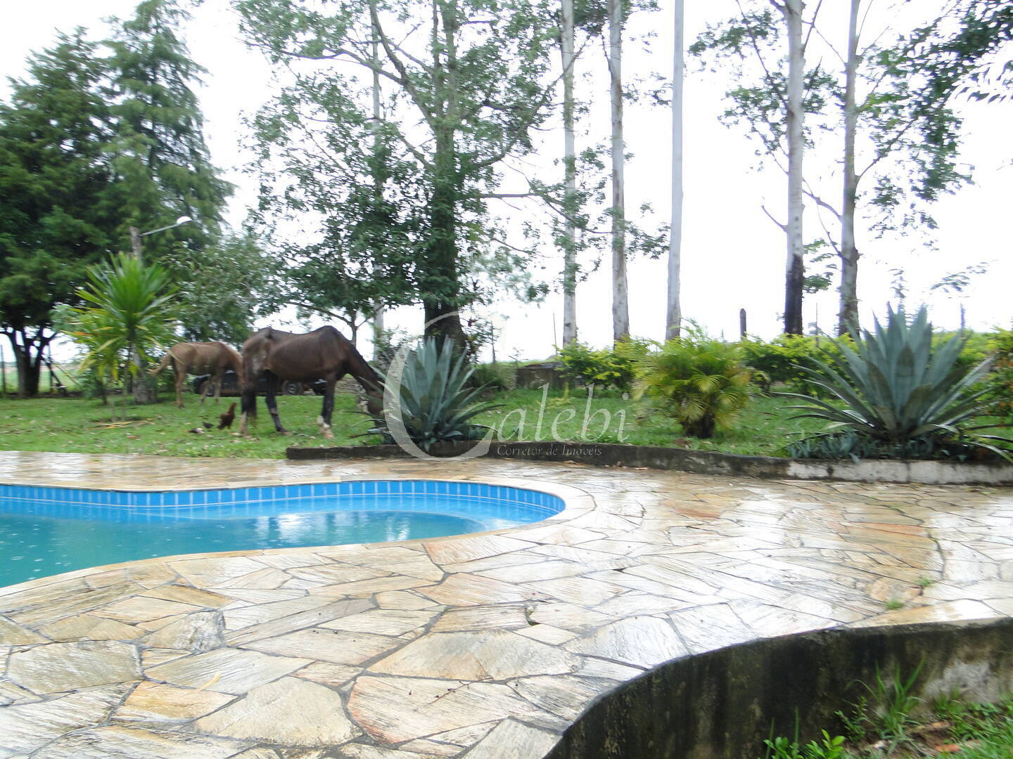 Sítio, 3 quartos, 4 m² - Foto 4