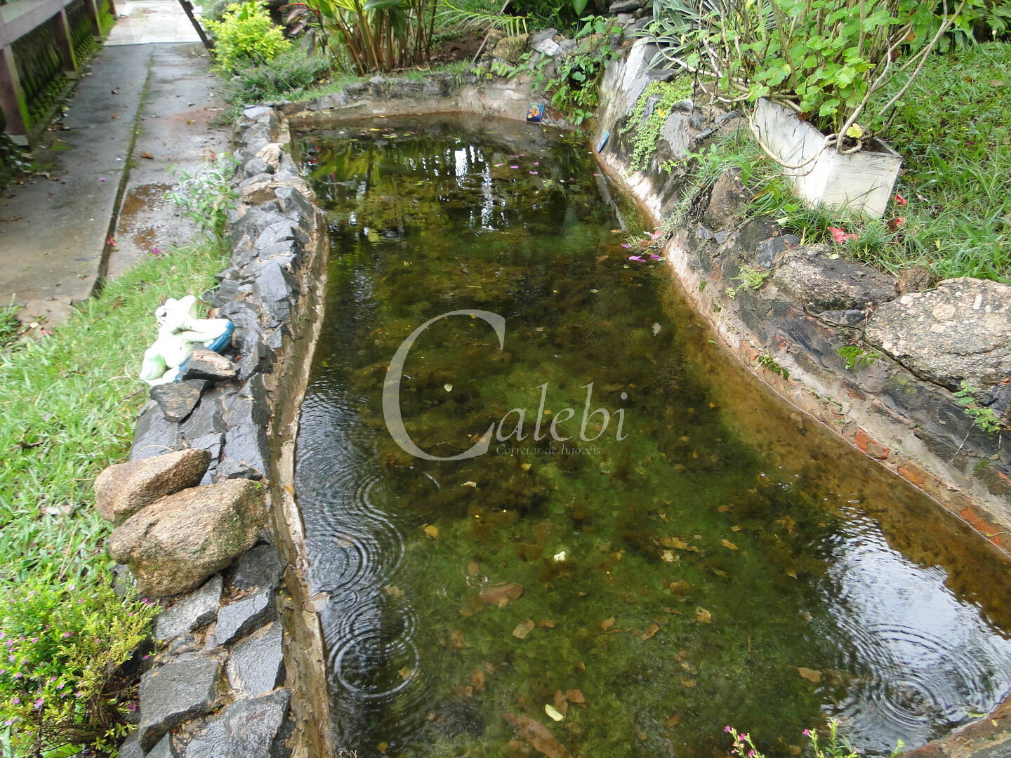 Sítio, 3 quartos, 4 m² - Foto 14