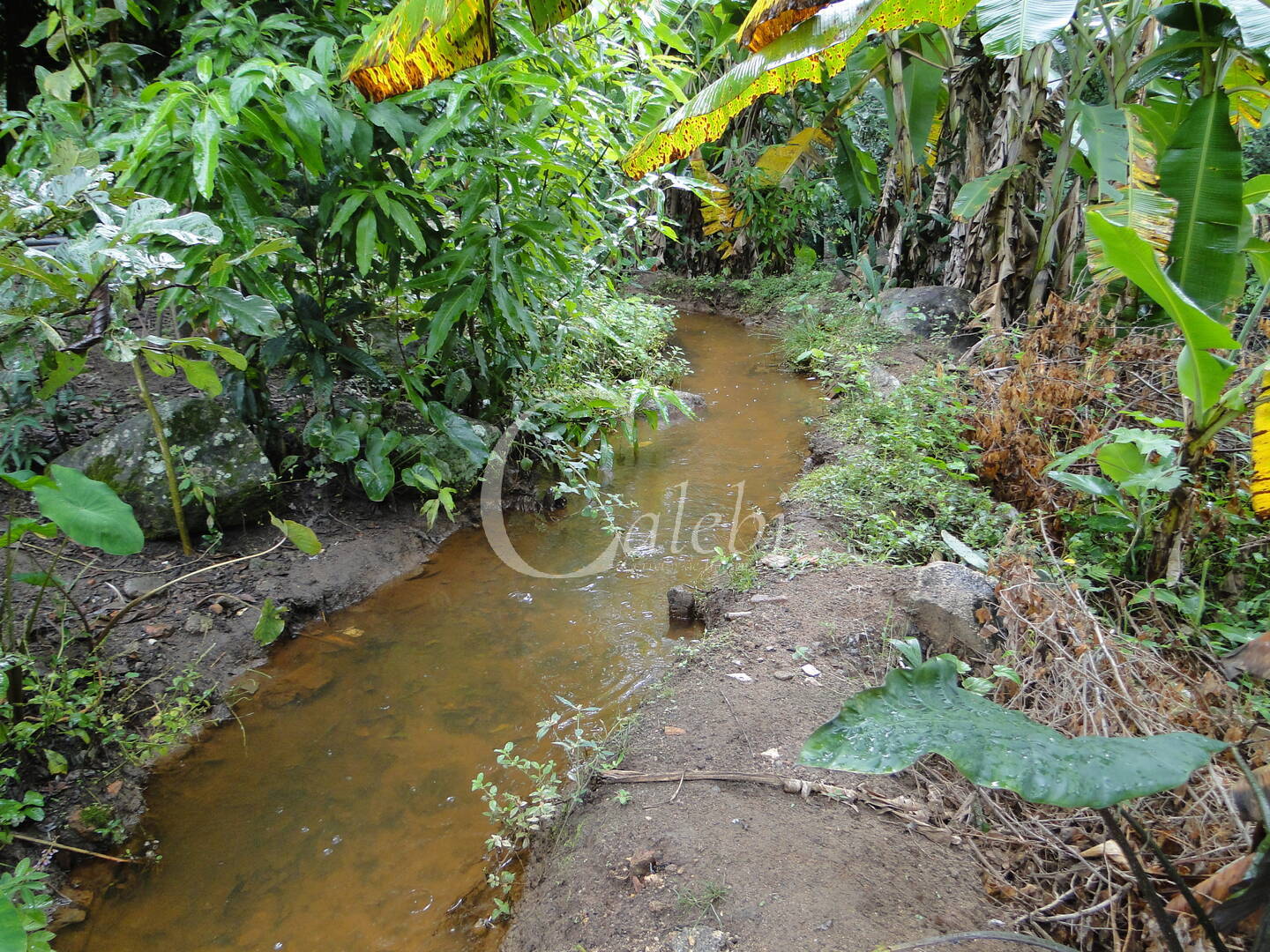 Sítio, 3 quartos, 4 m² - Foto 17