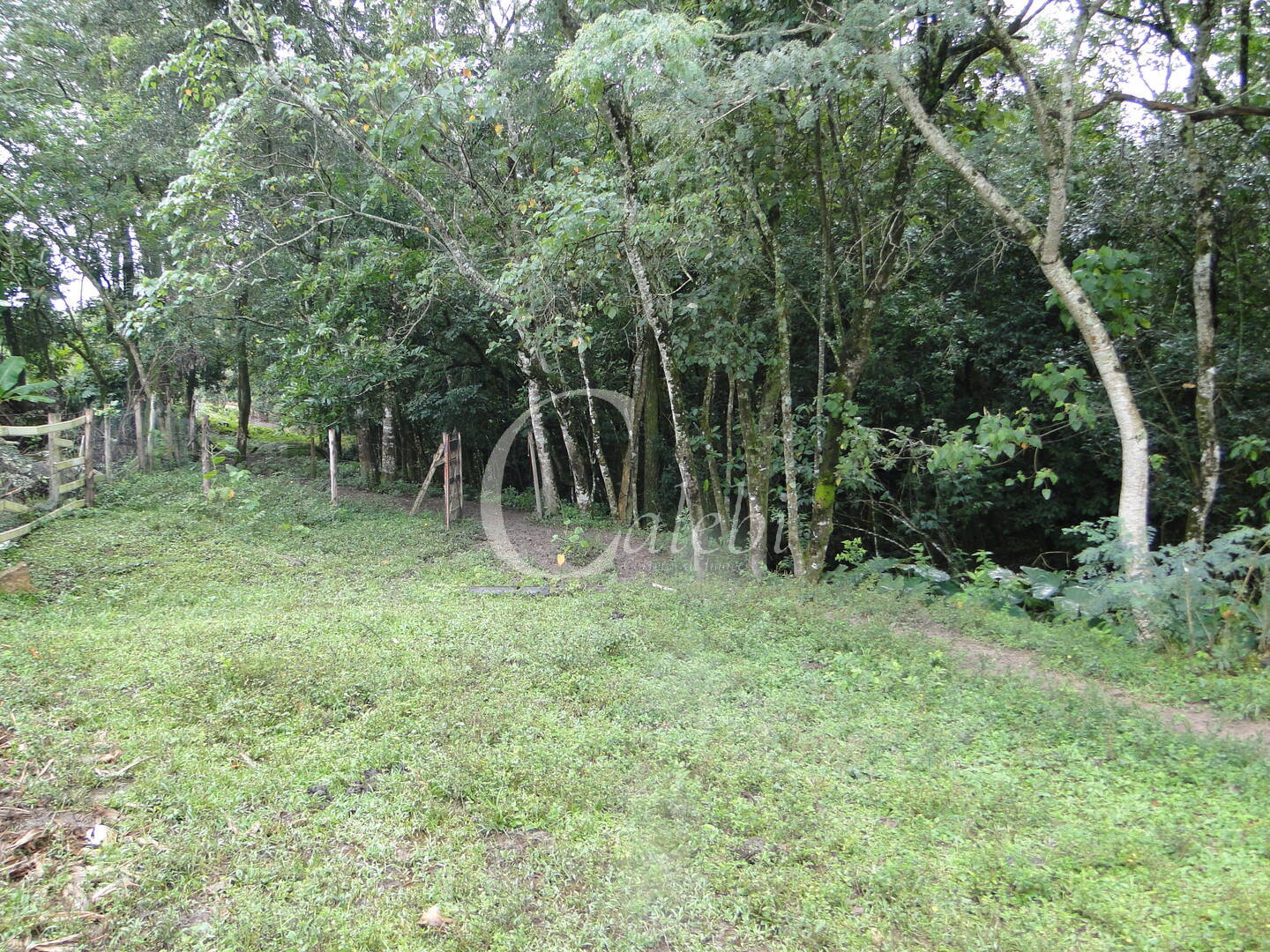 Sítio, 3 quartos, 4 m² - Foto 20