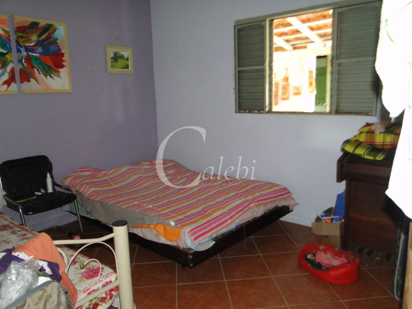 Sítio, 3 quartos, 4 m² - Foto 39