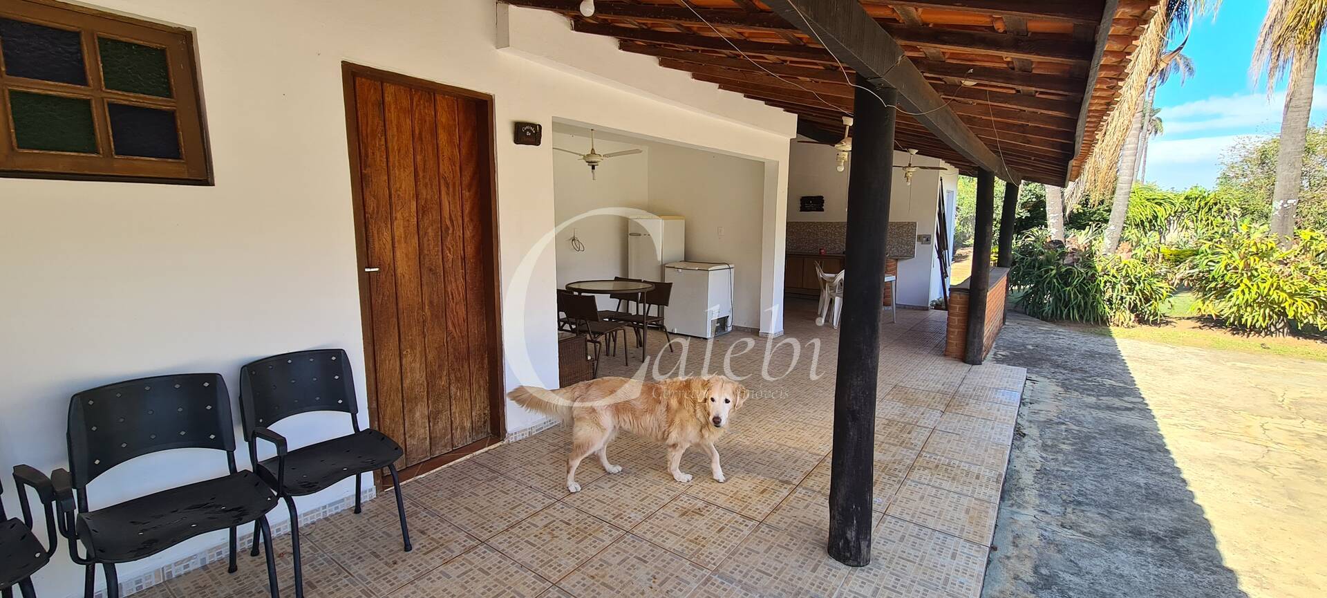 Chácara, 2 quartos, 2010 m² - Foto 35