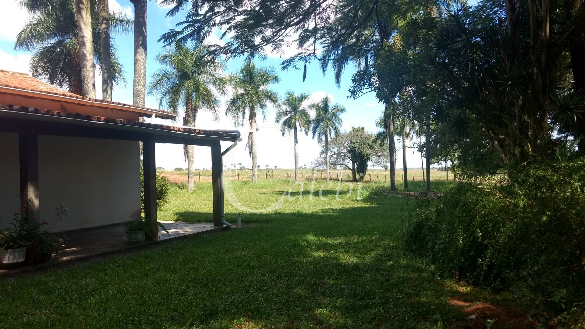 Sítio à venda com 3 quartos, 4m² - Foto 11
