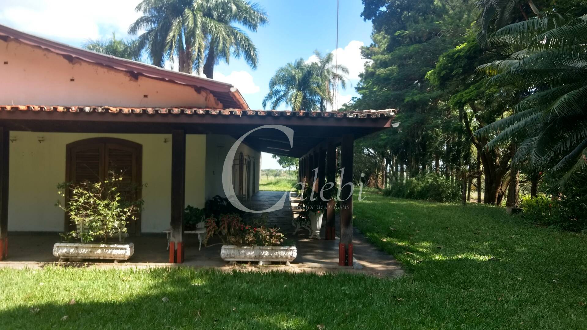 Sítio à venda com 3 quartos, 4m² - Foto 7