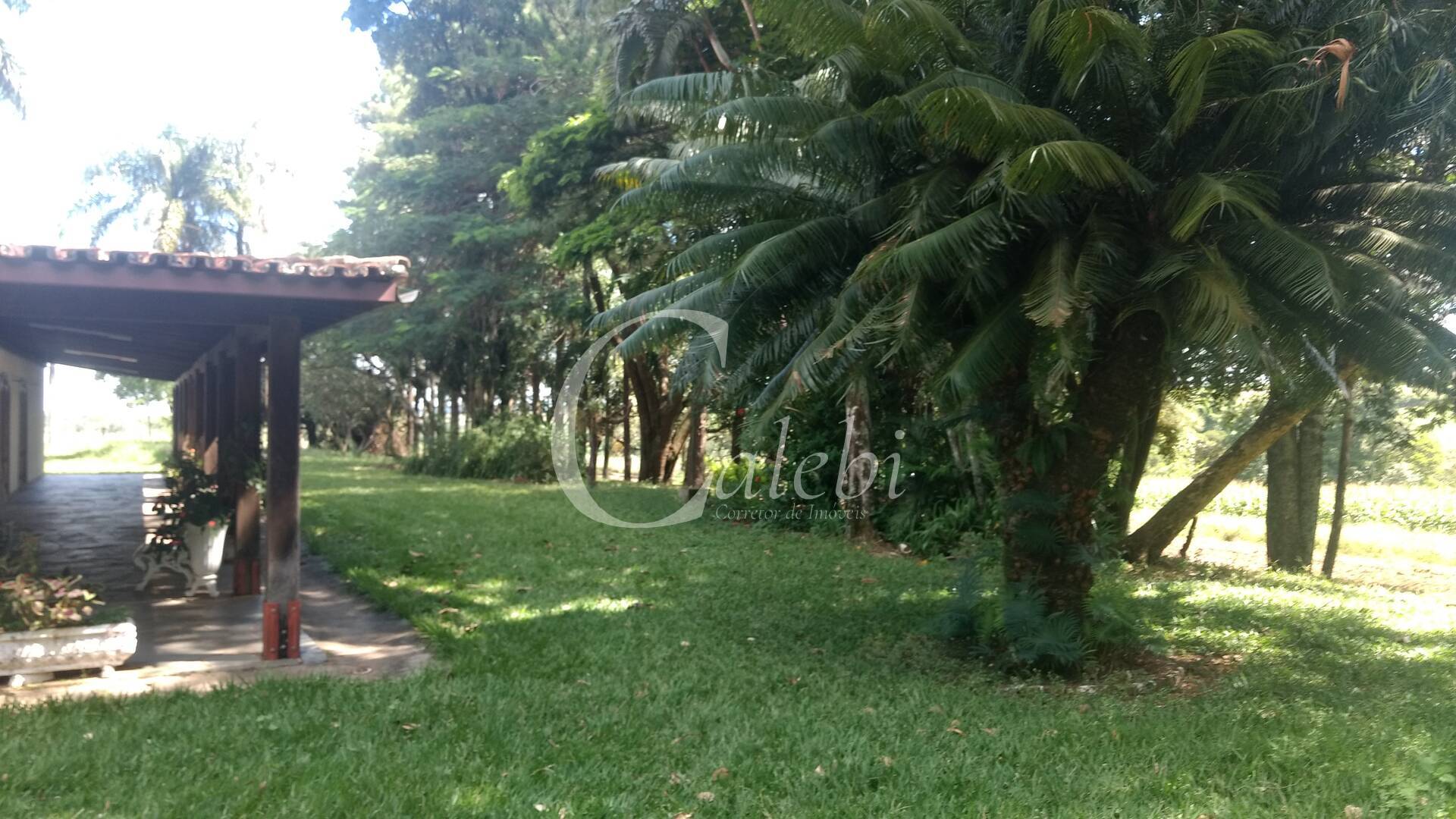 Sítio à venda com 3 quartos, 4m² - Foto 13