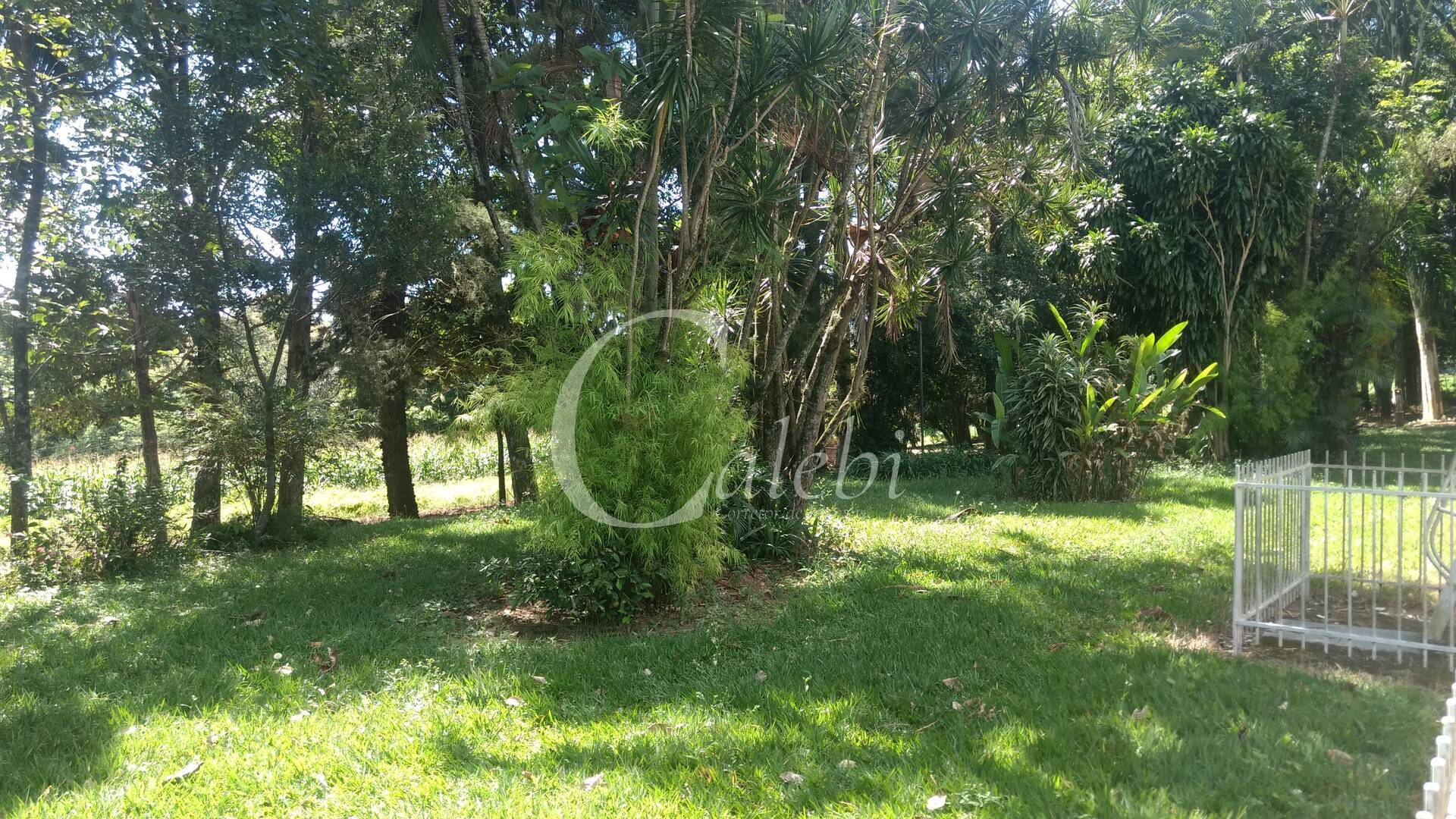Sítio à venda com 3 quartos, 4m² - Foto 14
