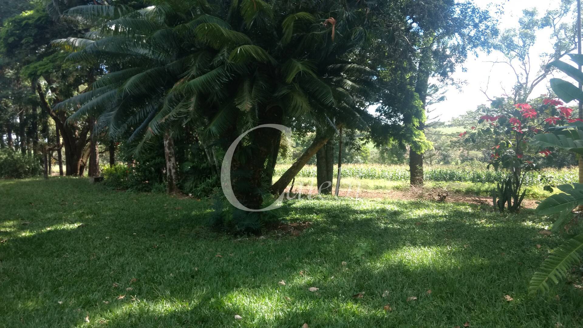 Sítio à venda com 3 quartos, 4m² - Foto 8