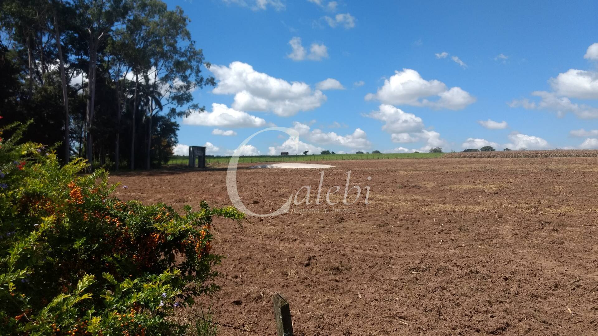 Sítio à venda com 3 quartos, 4m² - Foto 1