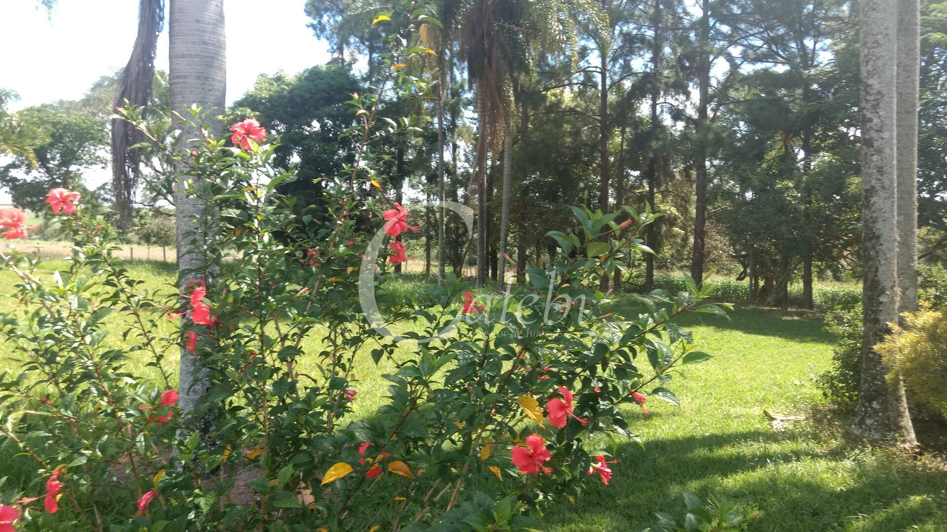 Sítio à venda com 3 quartos, 4m² - Foto 17