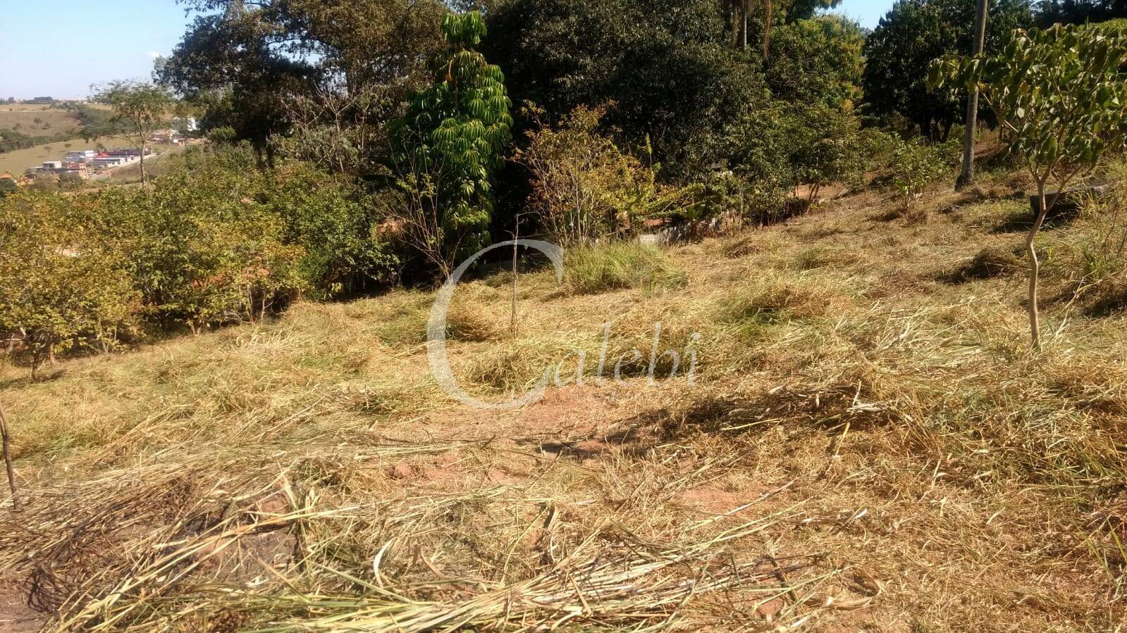 Chácara à venda com 1 quarto, 6294m² - Foto 5