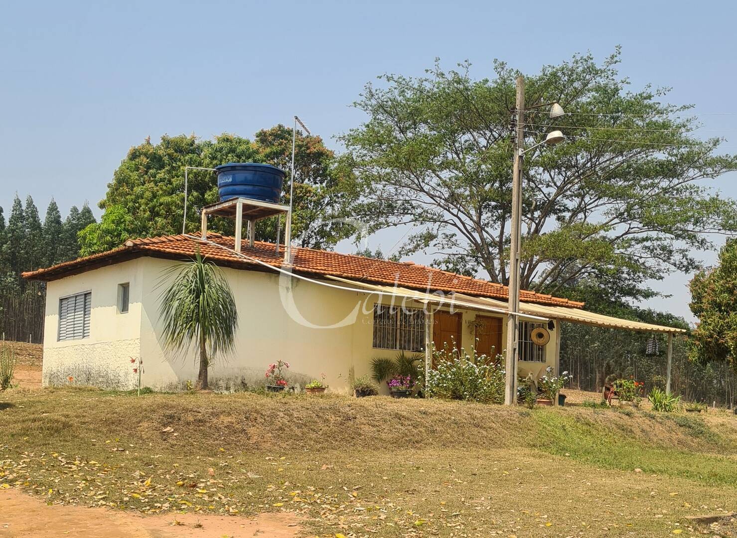 Sítio à venda com 3 quartos, 140m² - Foto 11