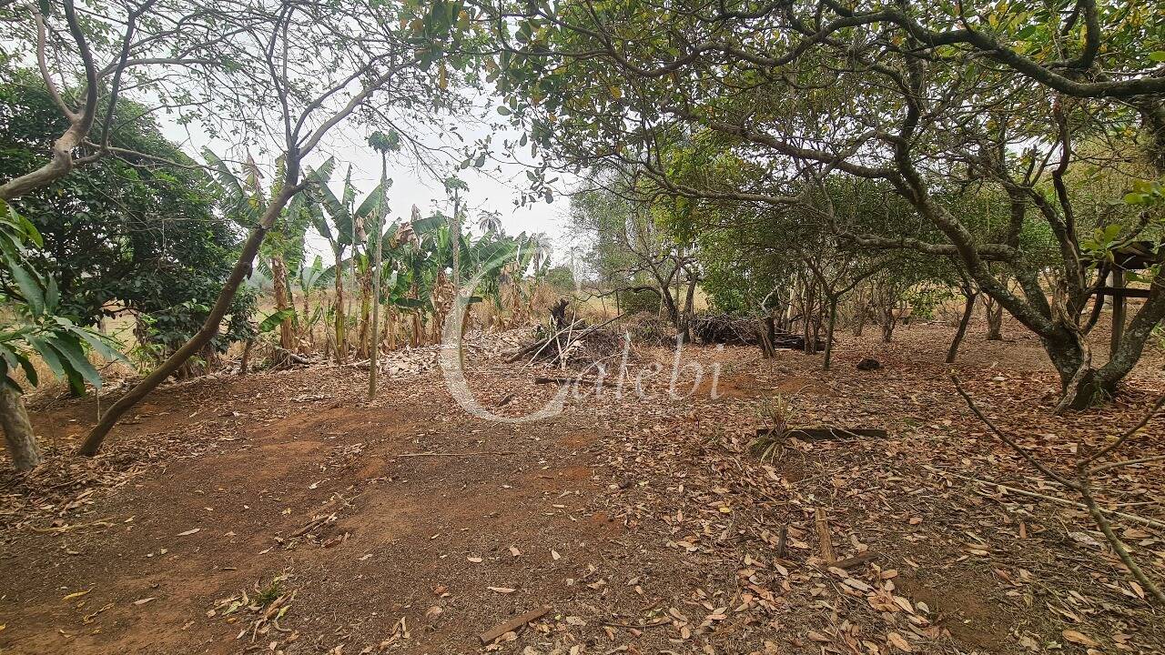 Sítio, 2 quartos, 100 m² - Foto 4