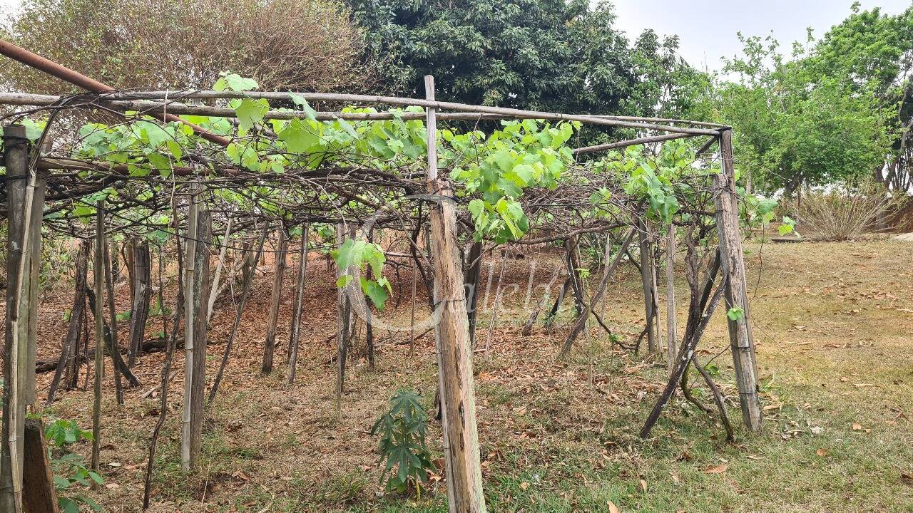 Sítio, 2 quartos, 100 m² - Foto 5