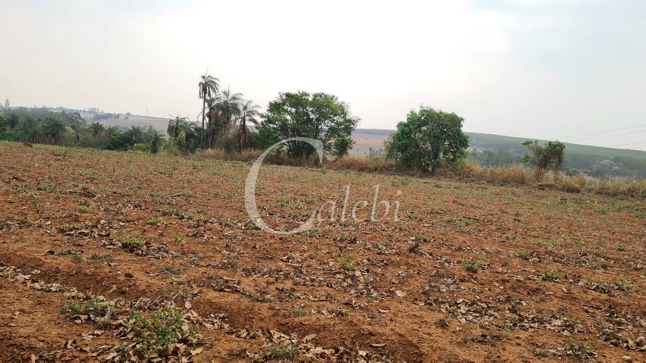 Sítio, 2 quartos, 100 m² - Foto 19