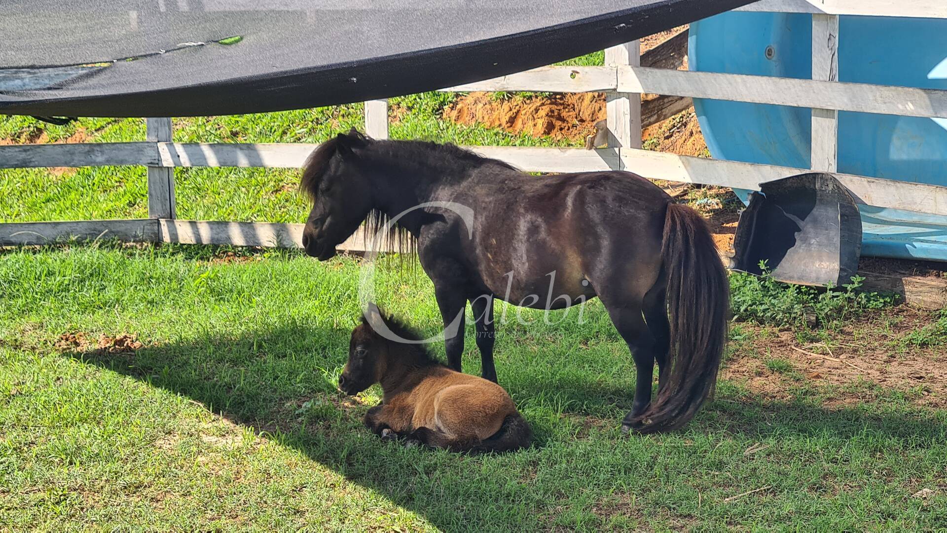 Terreno, 3 m² - Foto 2