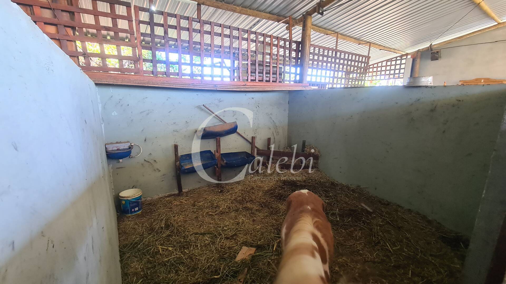 Terreno, 3 m² - Foto 7