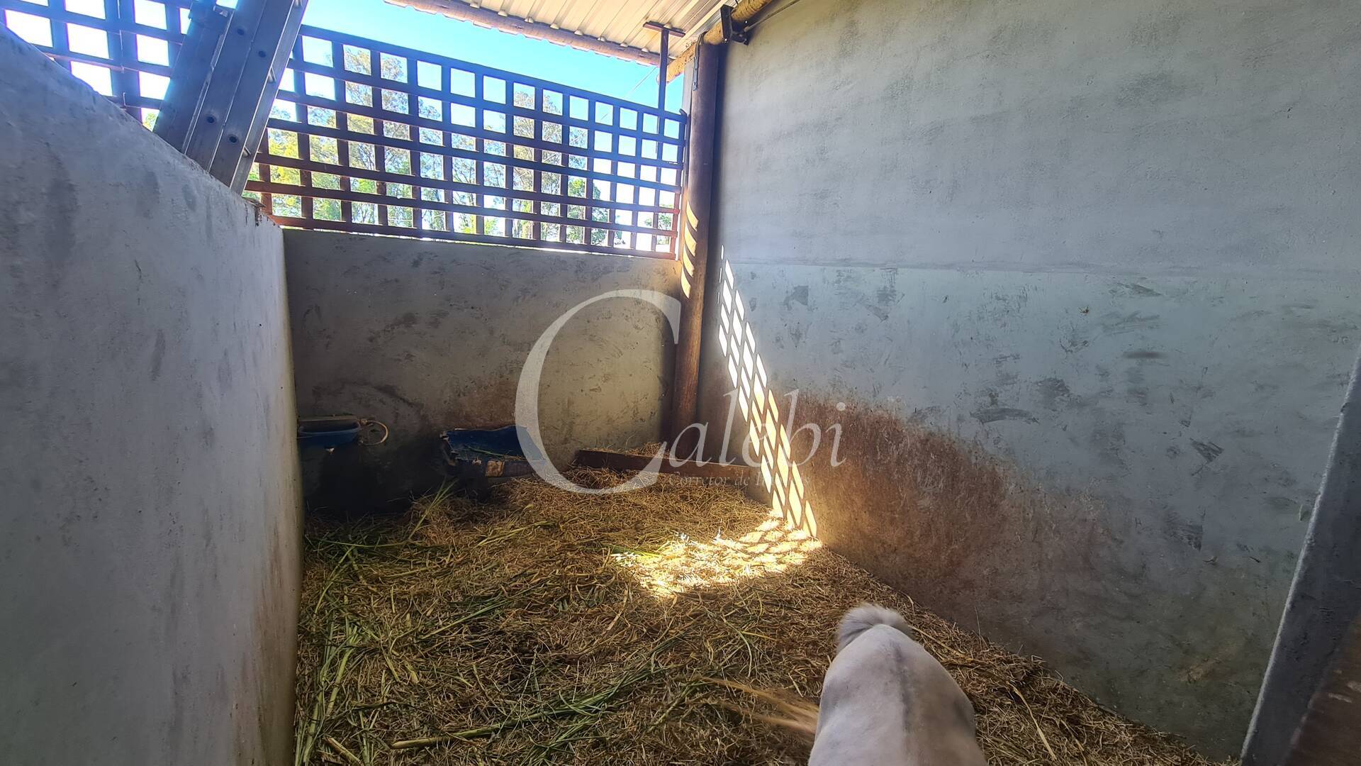 Terreno, 3 m² - Foto 8