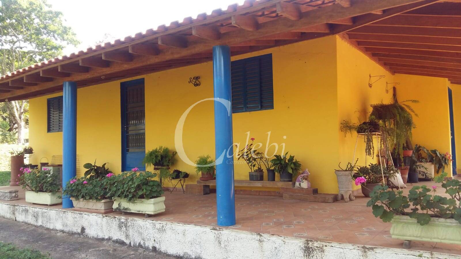 Sítio à venda com 3 quartos, 43000m² - Foto 1