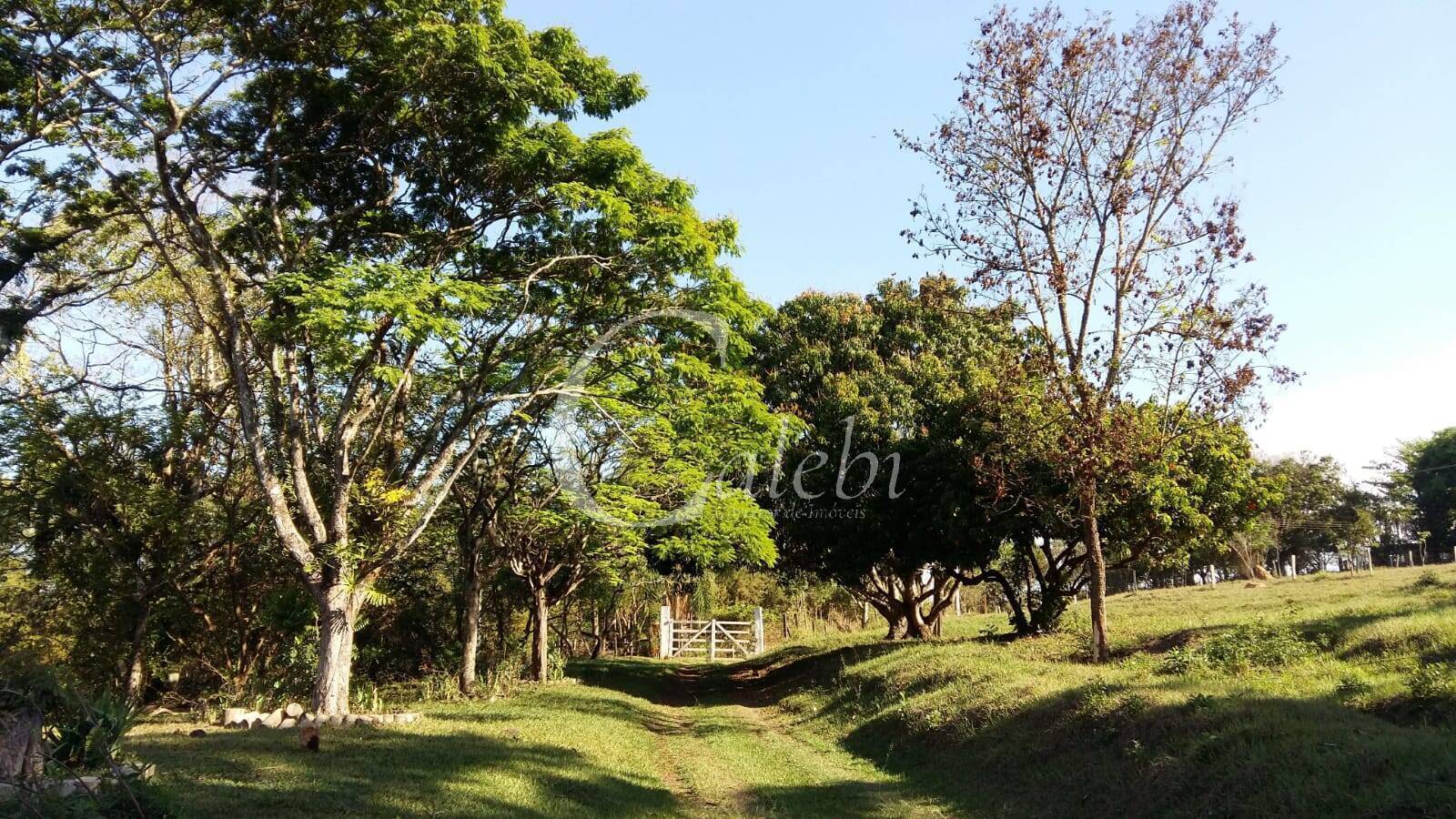 Sítio à venda com 3 quartos, 43000m² - Foto 3