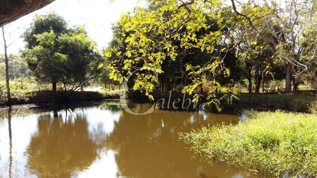 Sítio à venda com 3 quartos, 43000m² - Foto 6