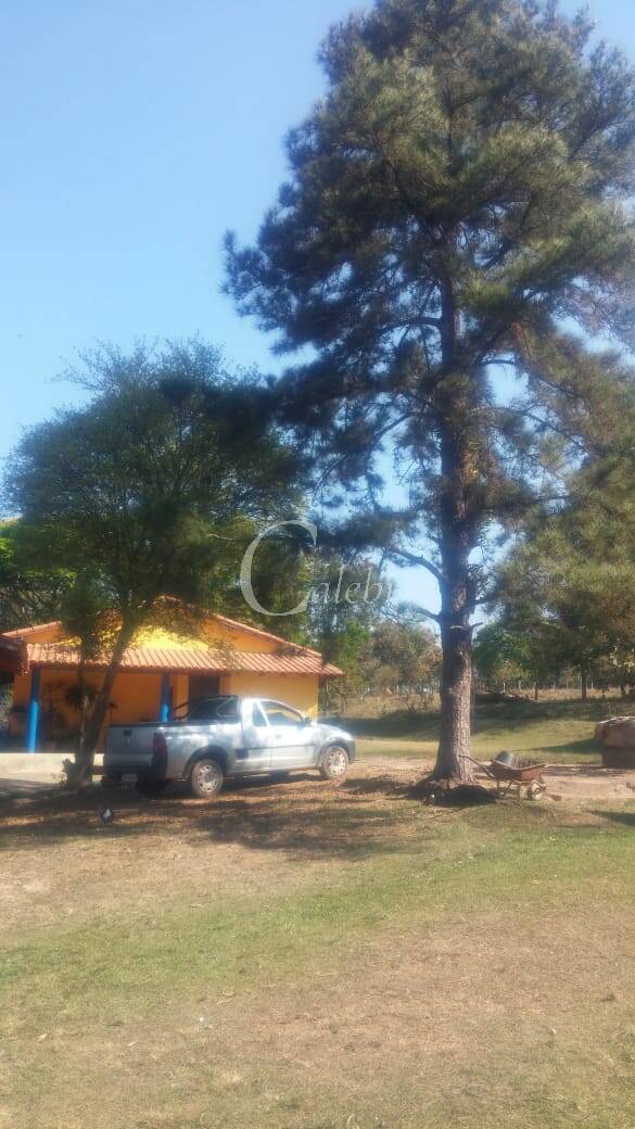 Sítio à venda com 3 quartos, 43000m² - Foto 8