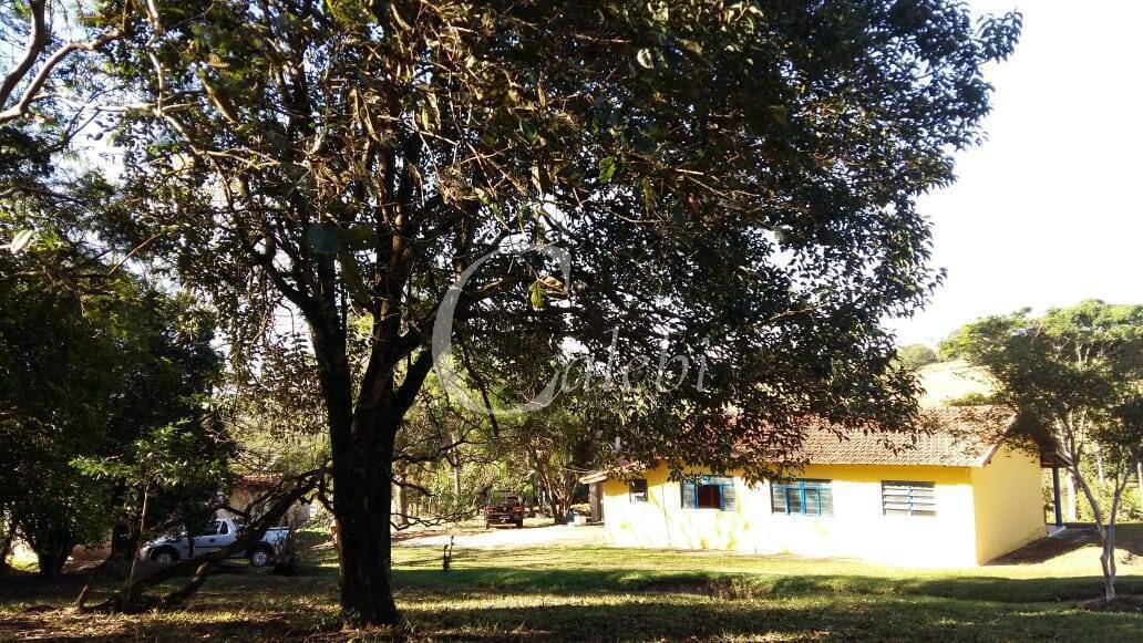 Sítio à venda com 3 quartos, 43000m² - Foto 9