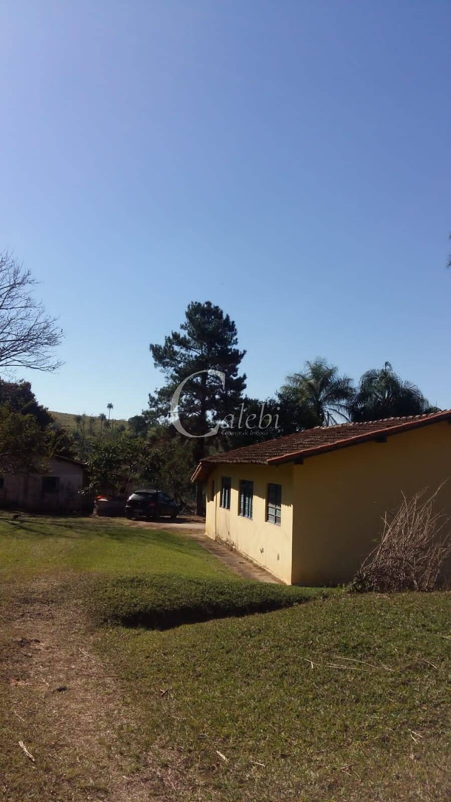 Sítio à venda com 3 quartos, 43000m² - Foto 17