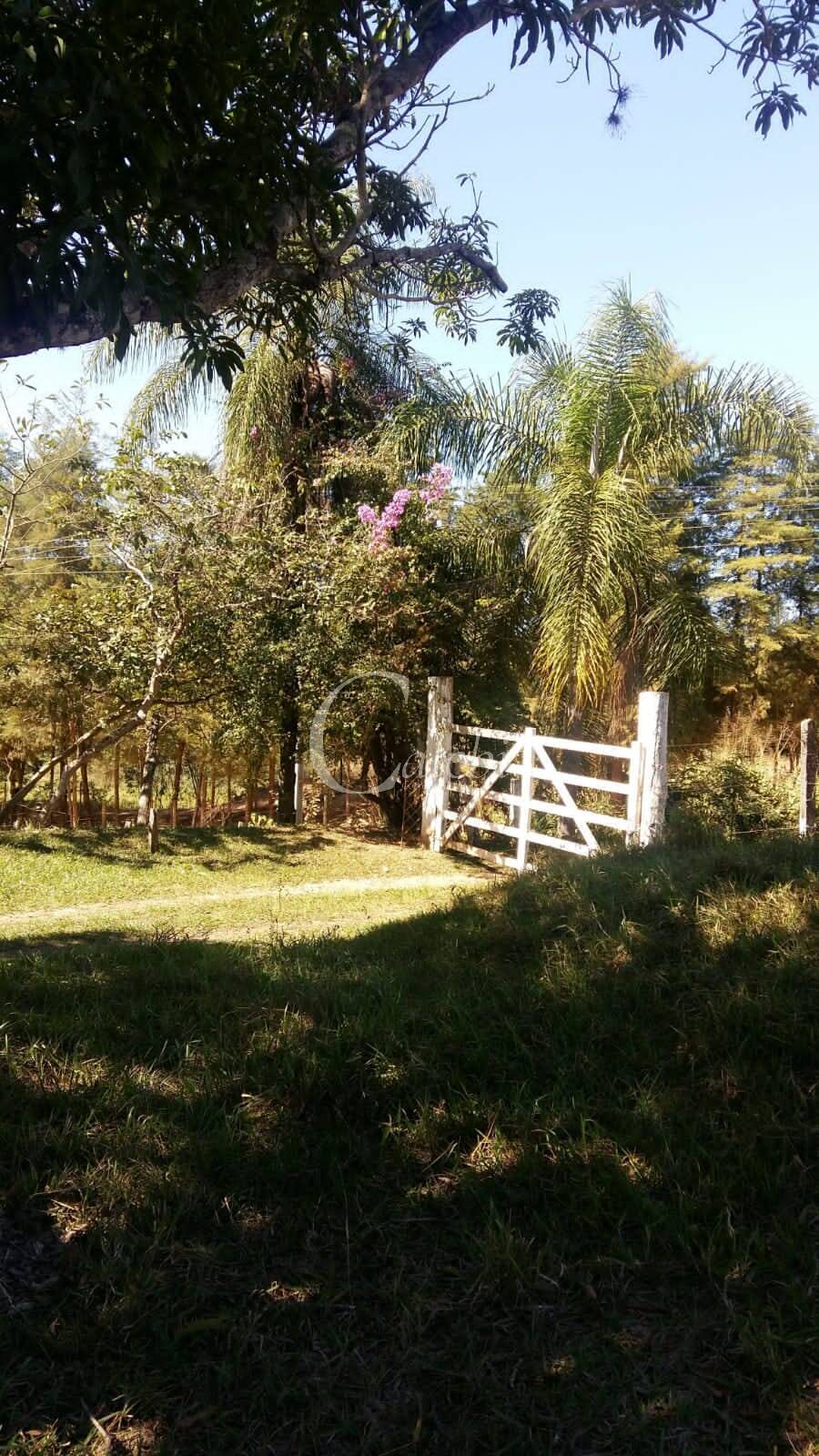 Sítio à venda com 3 quartos, 43000m² - Foto 15