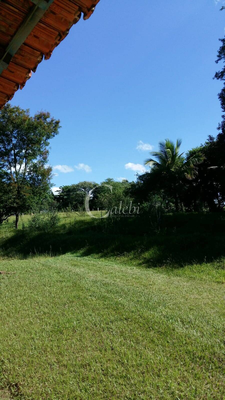 Sítio à venda com 3 quartos, 43000m² - Foto 14