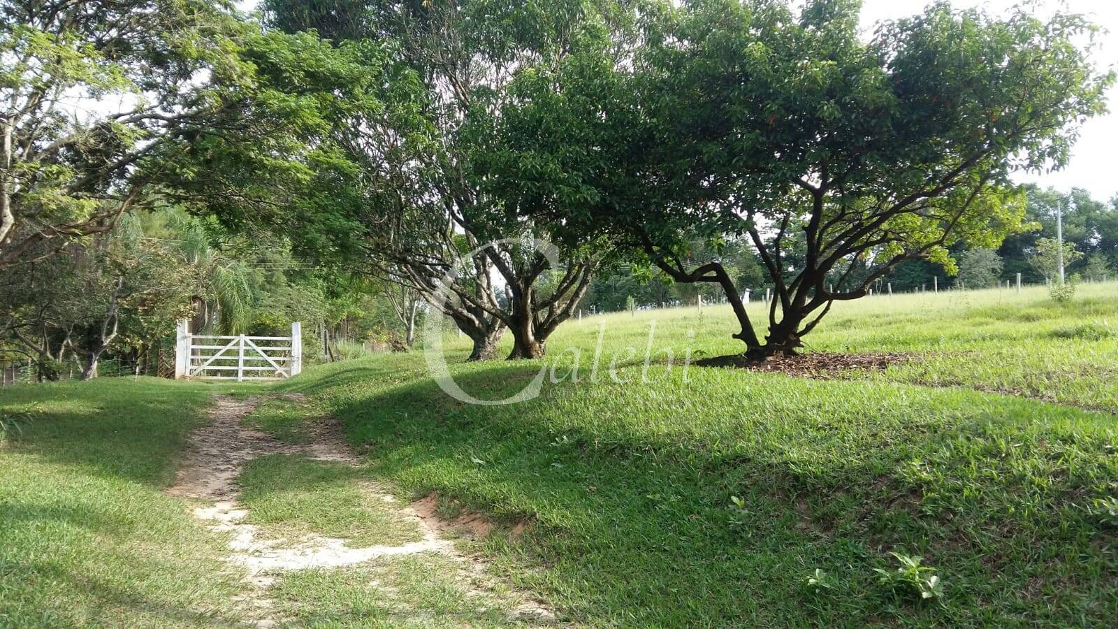Sítio à venda com 3 quartos, 43000m² - Foto 23