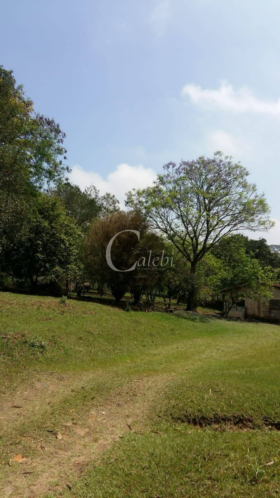 Sítio à venda com 3 quartos, 43000m² - Foto 22