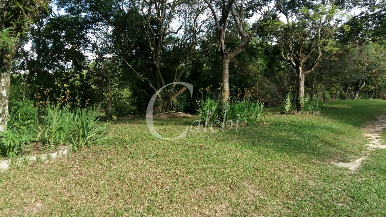 Sítio à venda com 3 quartos, 43000m² - Foto 25